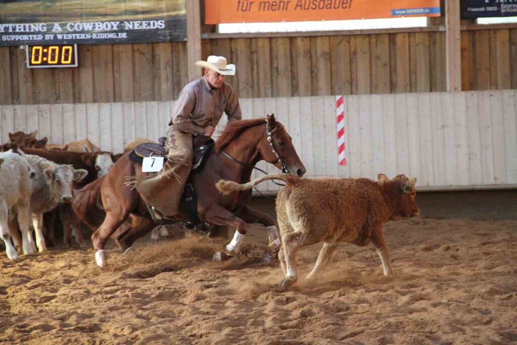 Zacks Peppy Rey – NCHAoG DM 2010