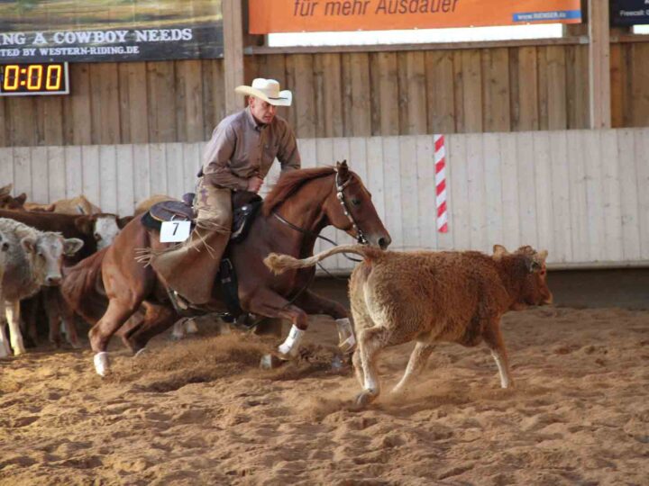 Zacks Peppy Rey – NCHAoG DM 2010